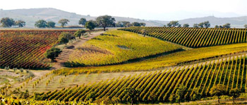 Maremma toscana